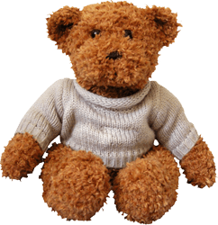 Teddy Bear