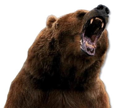 Grizzly