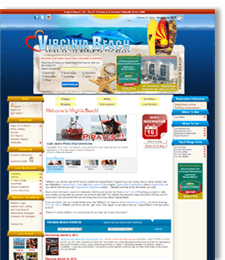 Virginia Beach Website