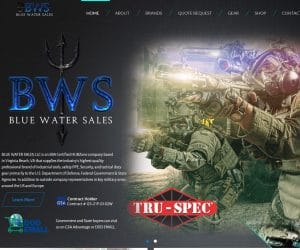 Blue Water Sales Web Design Project