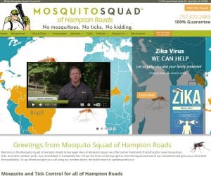 Mosquito Squad of Hampton Roads Web Design Project